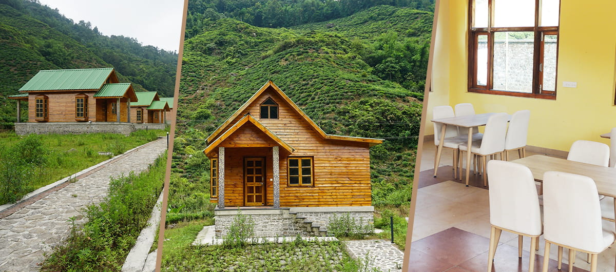 Beltar Reosrt Kurseong